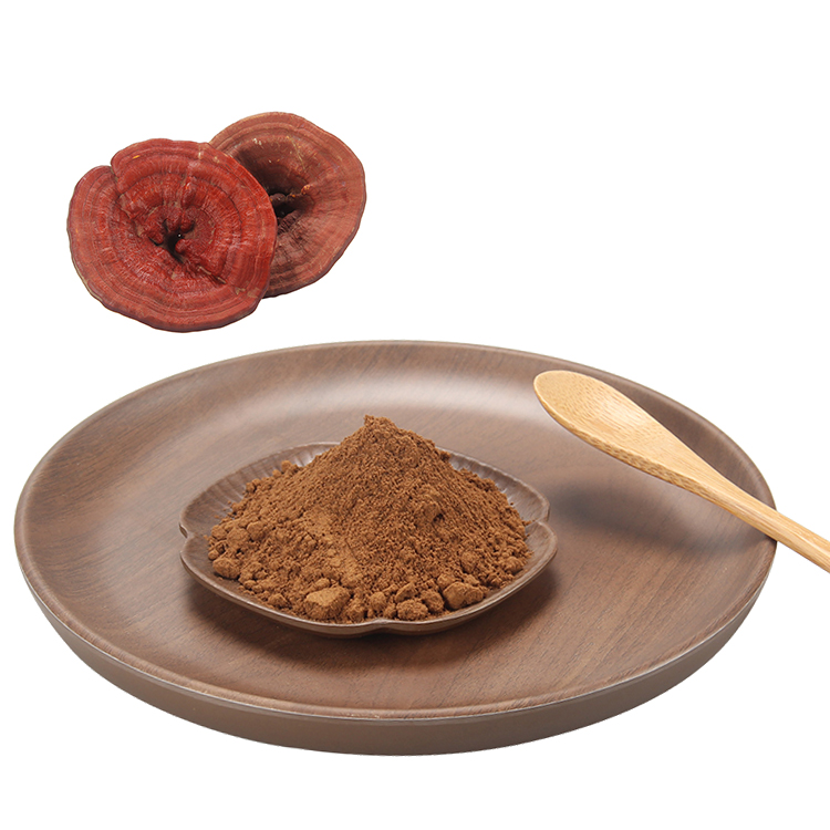 What Makes Our Reishi Mushroom Extract Truly Organic